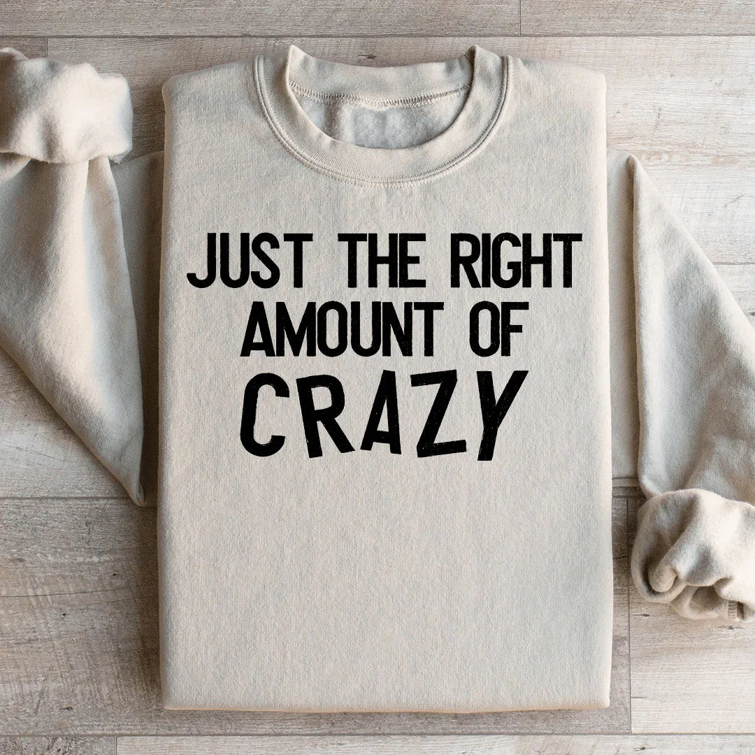 Just The Right Amount Of Crazy Sweatshirt