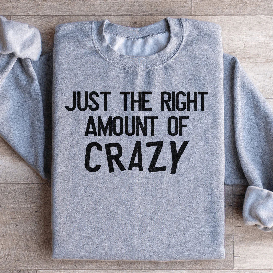 Just The Right Amount Of Crazy Sweatshirt